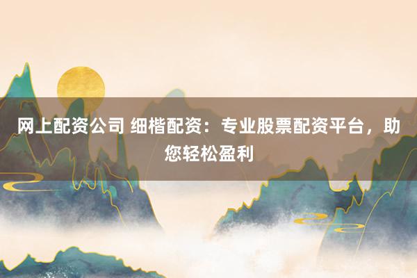 网上配资公司 细楷配资：专业股票配资平台，助您轻松盈利