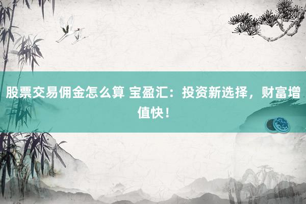 股票交易佣金怎么算 宝盈汇：投资新选择，财富增值快！