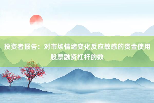 投资者报告：对市场情绪变化反应敏感的资金使用股票融资杠杆的数