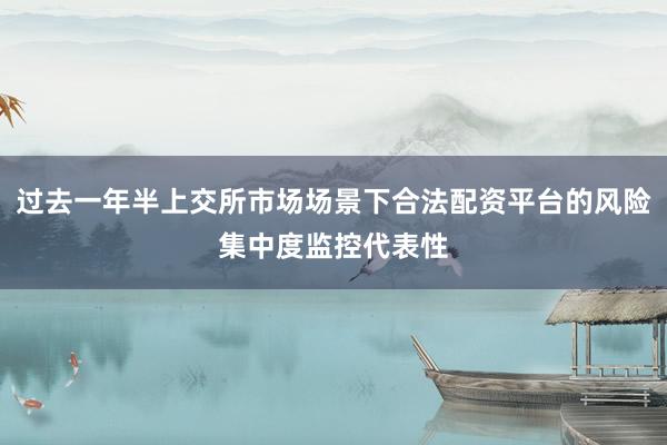 过去一年半上交所市场场景下合法配资平台的风险集中度监控代表性
