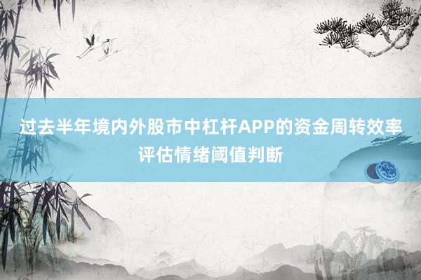 过去半年境内外股市中杠杆APP的资金周转效率评估情绪阈值判断