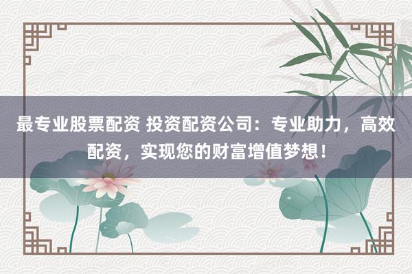 最专业股票配资 投资配资公司：专业助力，高效配资，实现您的财富增值梦想！